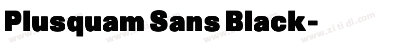 Plusquam Sans Black字体转换